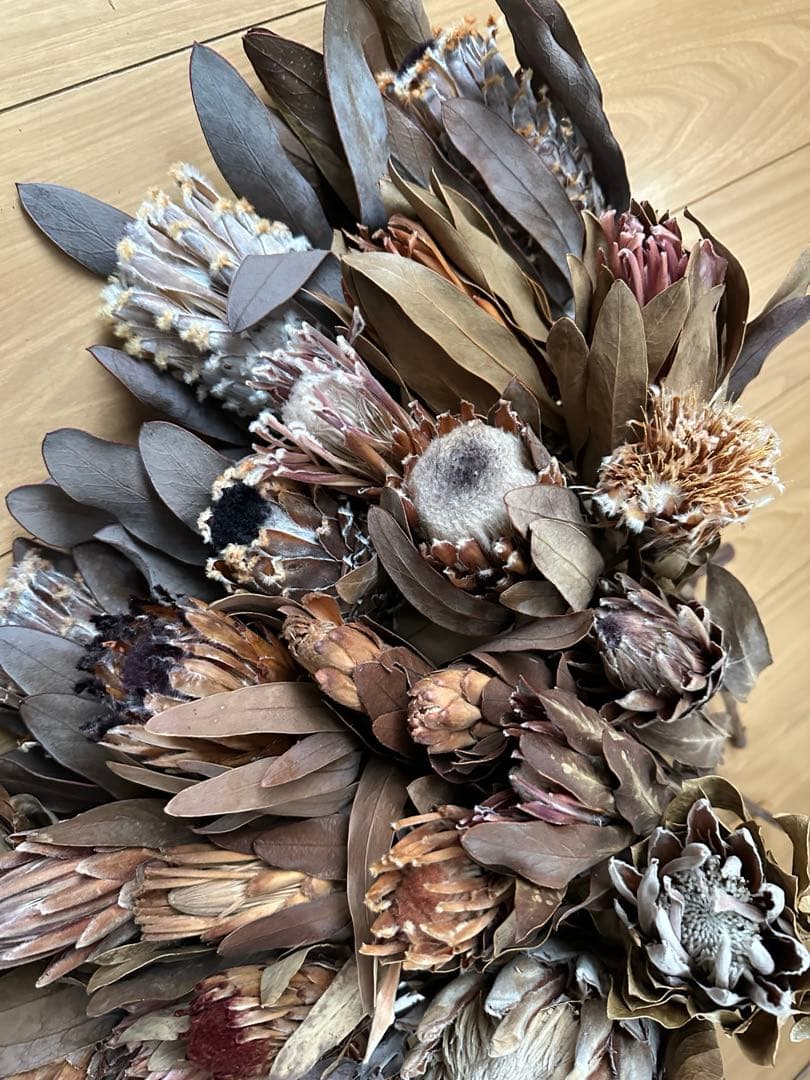 在庫整理‼️プロテア 35本