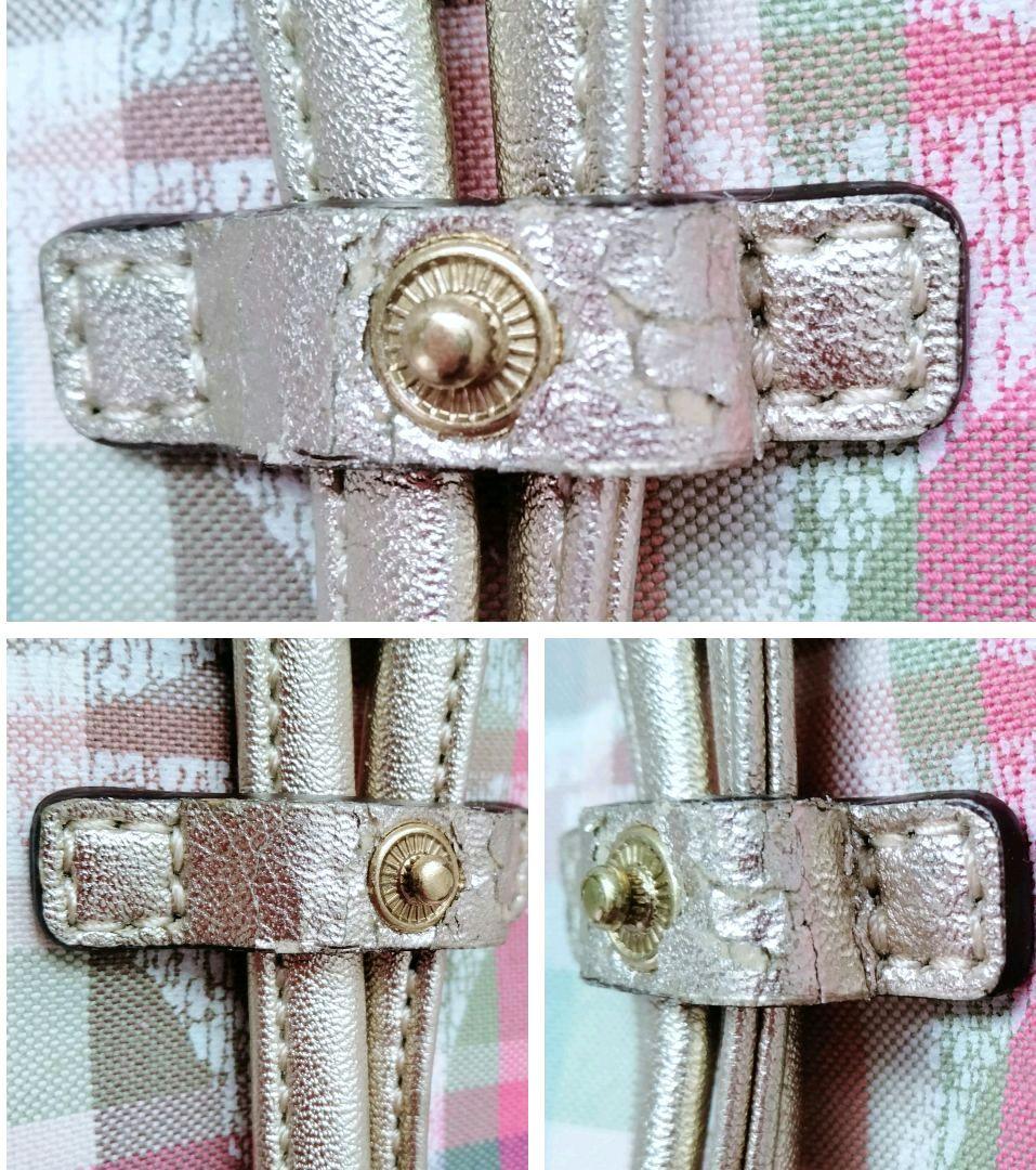 【希少美品】 コーチ シグネチャー リュック ポピー マドラス COACH