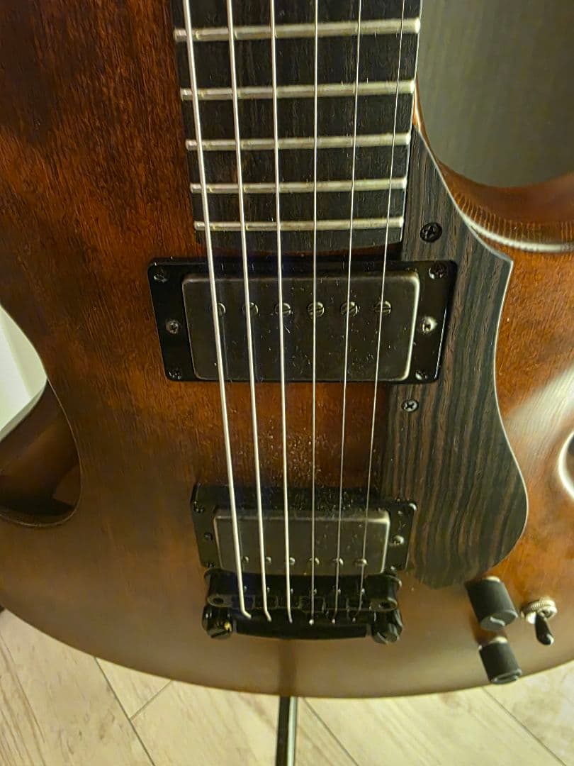 collectera(nishgaki guitar)Faro dual