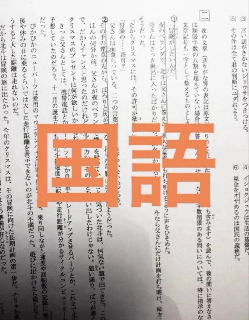 pippiph プロフィール必読ください様