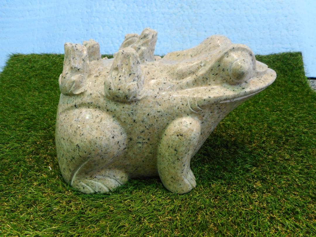 カエルの背に数匹の子