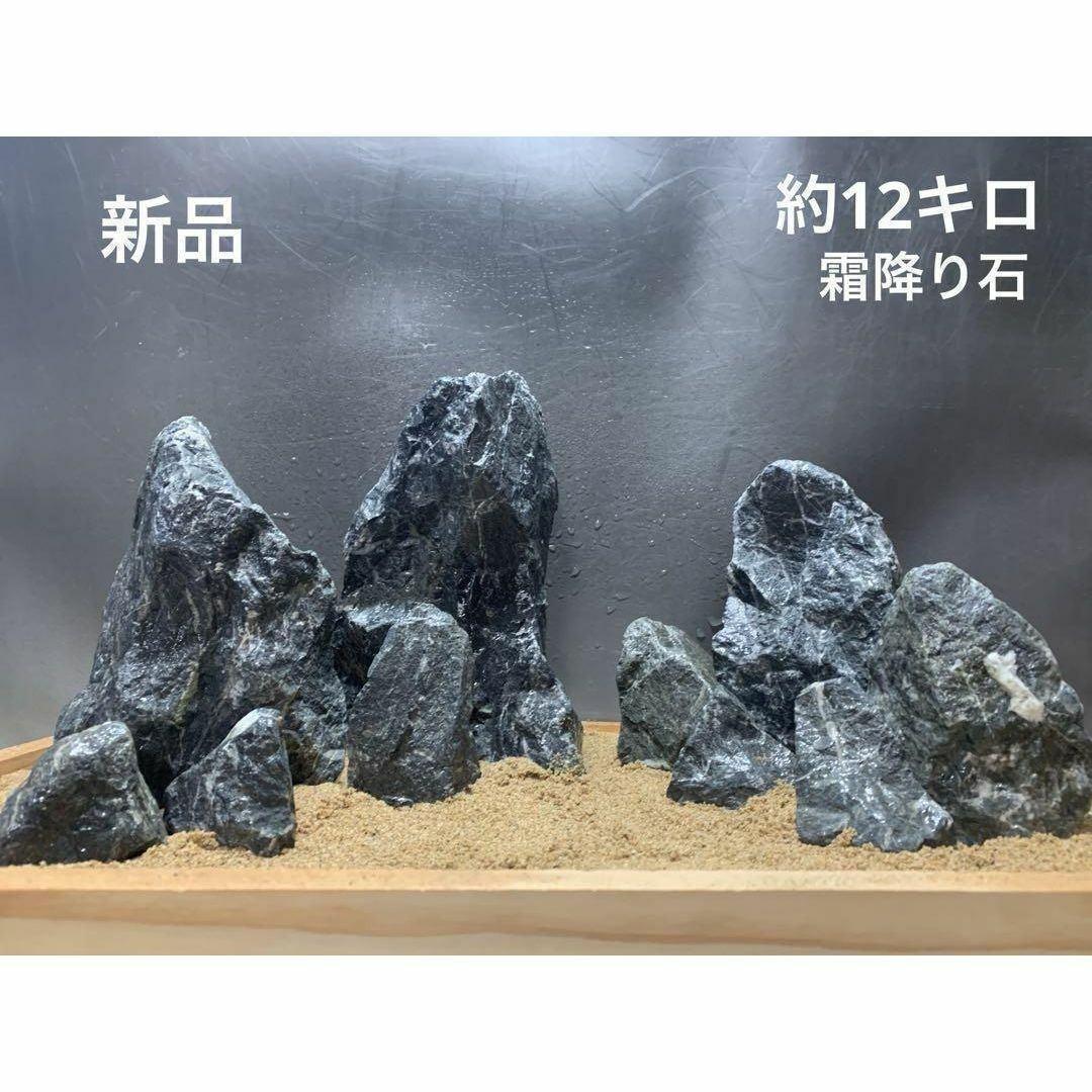 1[新品 親石付]清流石12キロ☆水槽 レイアウト 青龍石 龍王石 気孔石