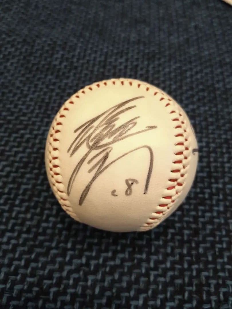 巨人軍　王貞治、高田繁、河埜、その他選手サイン入り野球ボール
