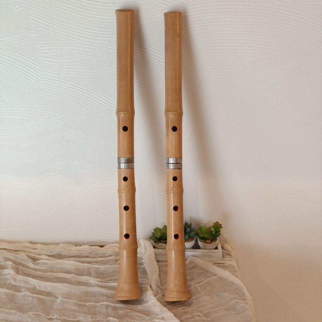 尺八本体 プラスチック製 2本セット - メルカリ