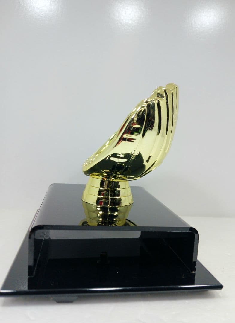 大谷翔平 エンゼルス 2021 AL MVP ボールディスプレイケース