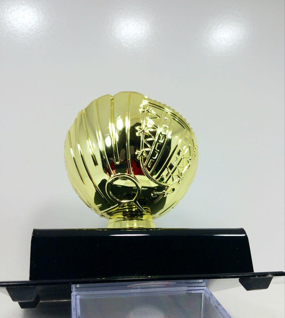 大谷翔平 エンゼルス 2021 AL MVP ボールディスプレイケース