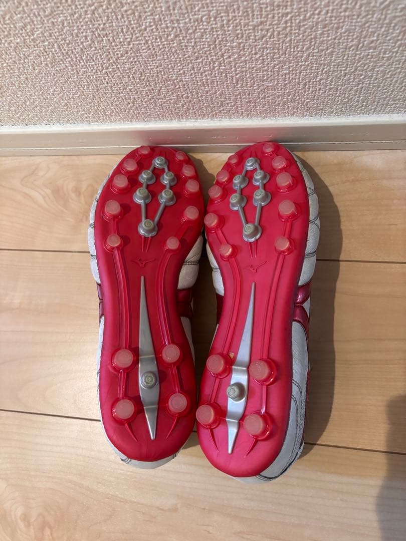 モレリア2 JAPAN AG