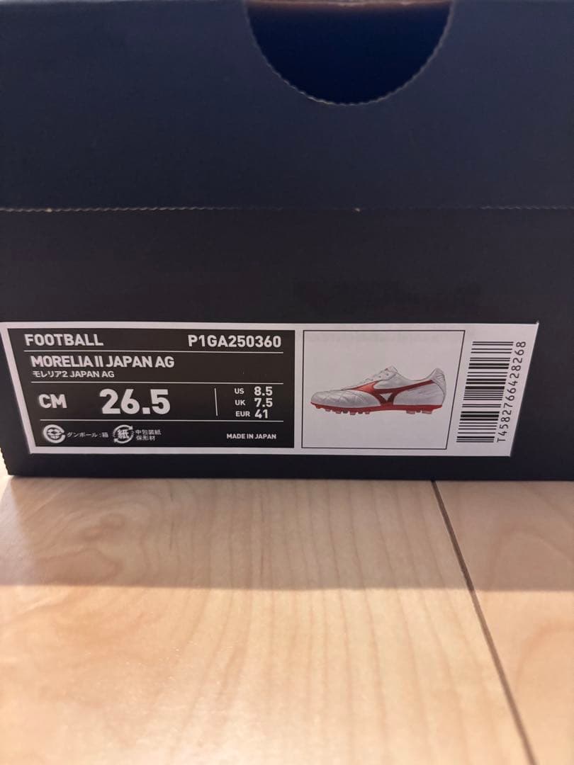 モレリア2 JAPAN AG