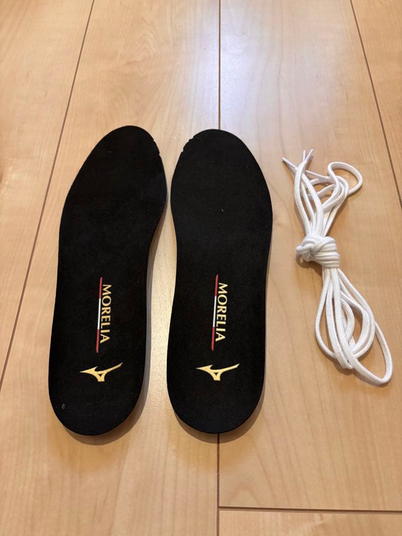 モレリア2 JAPAN AG