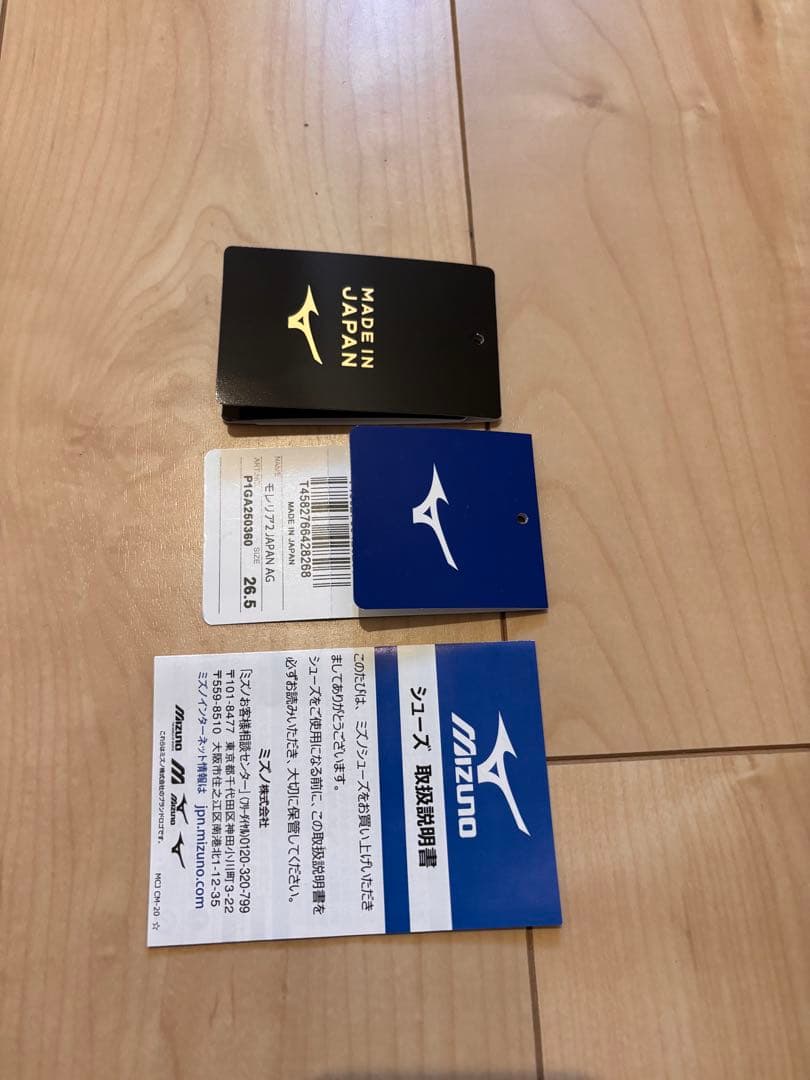 モレリア2 JAPAN AG