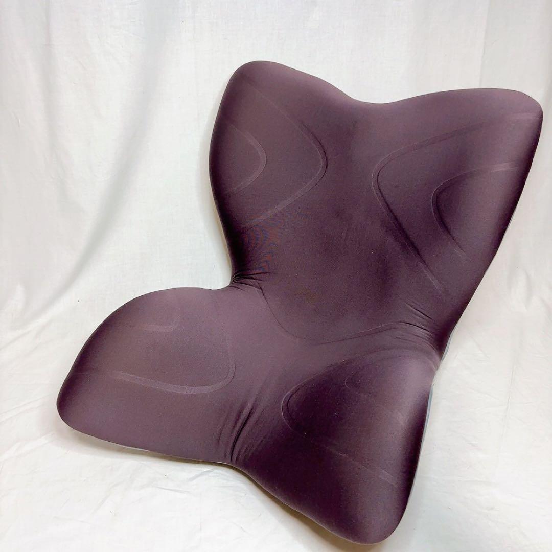 【極美品】MTG Style PREMIUM ブラウン 骨盤サポート　取説付き