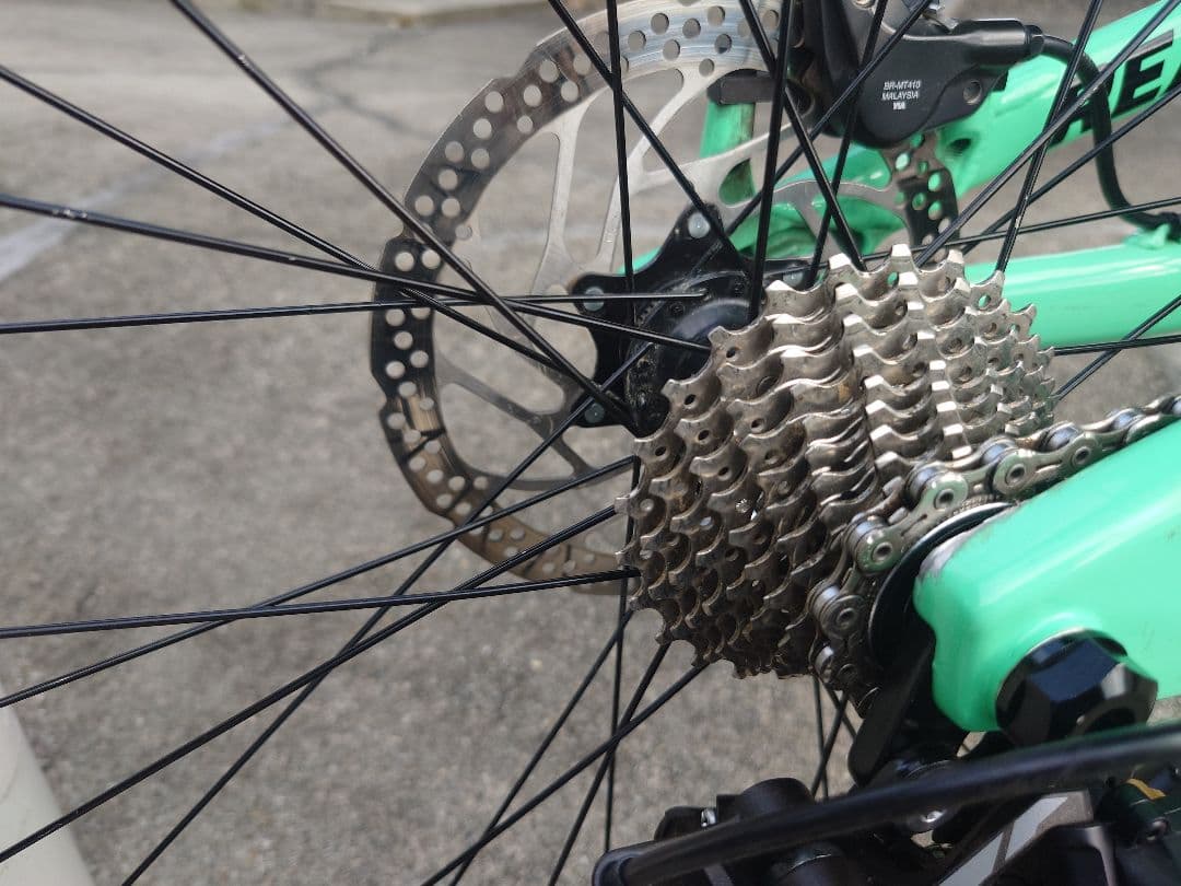 ロッキーマウンテン　リーパー　　手渡し、引き取り希望