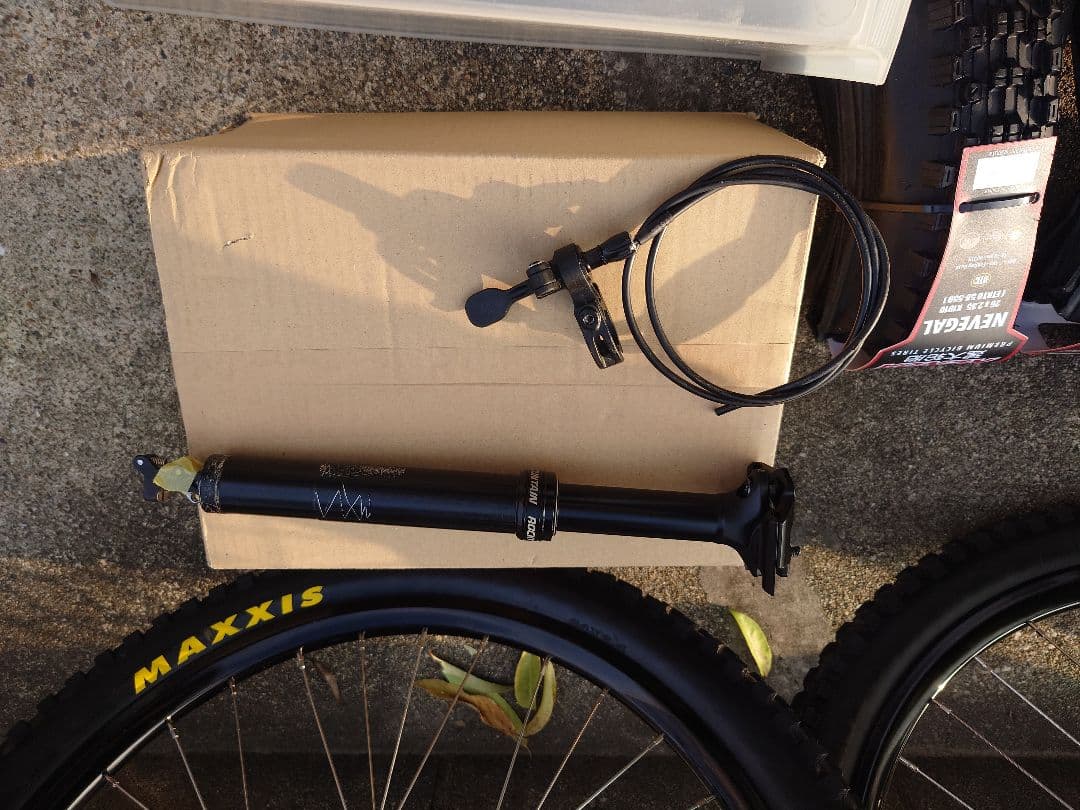 ロッキーマウンテン　リーパー　　手渡し、引き取り希望