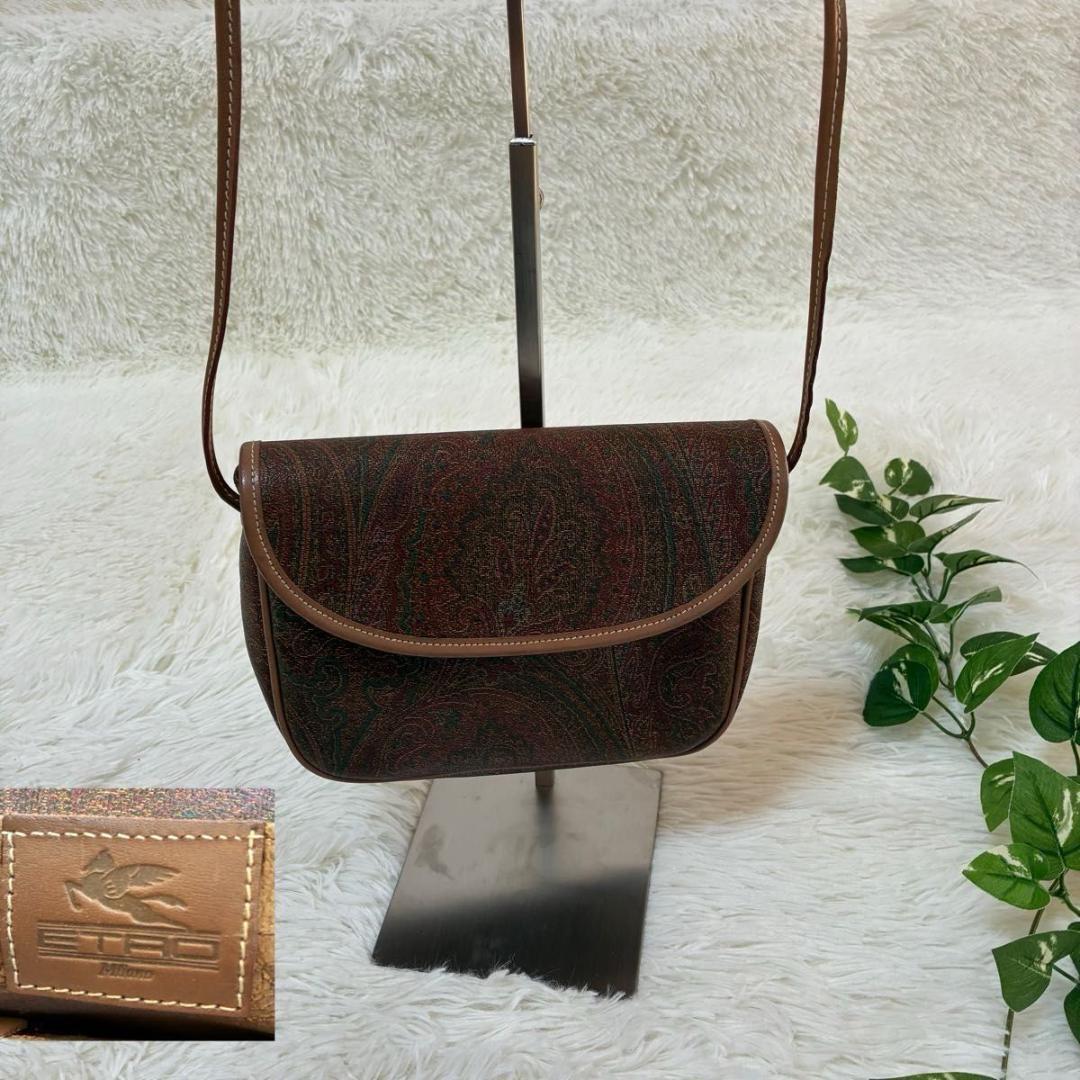 ETRO エトロ ペイズリー柄 ミニショルダーバッグ PVC レザー - メルカリ