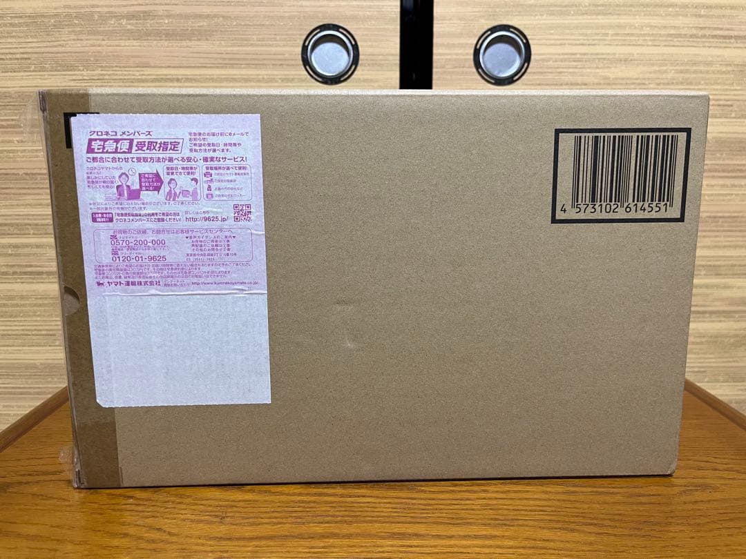 L BUILD クロスボーン・ガンダムX3