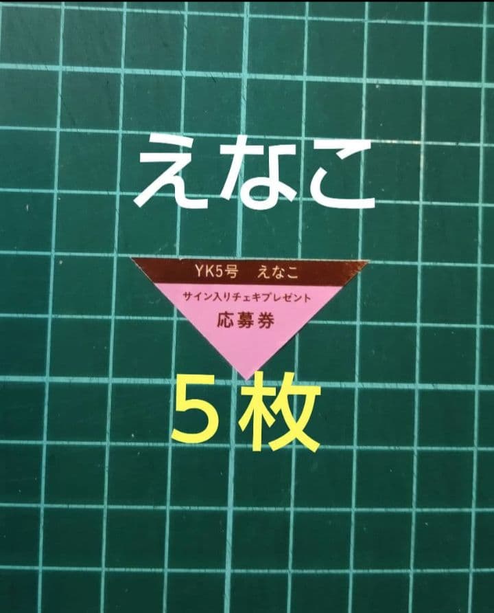 5枚 応募券 えなこ 直筆サイン入りチェキ 抽プレ ヤングキング5号