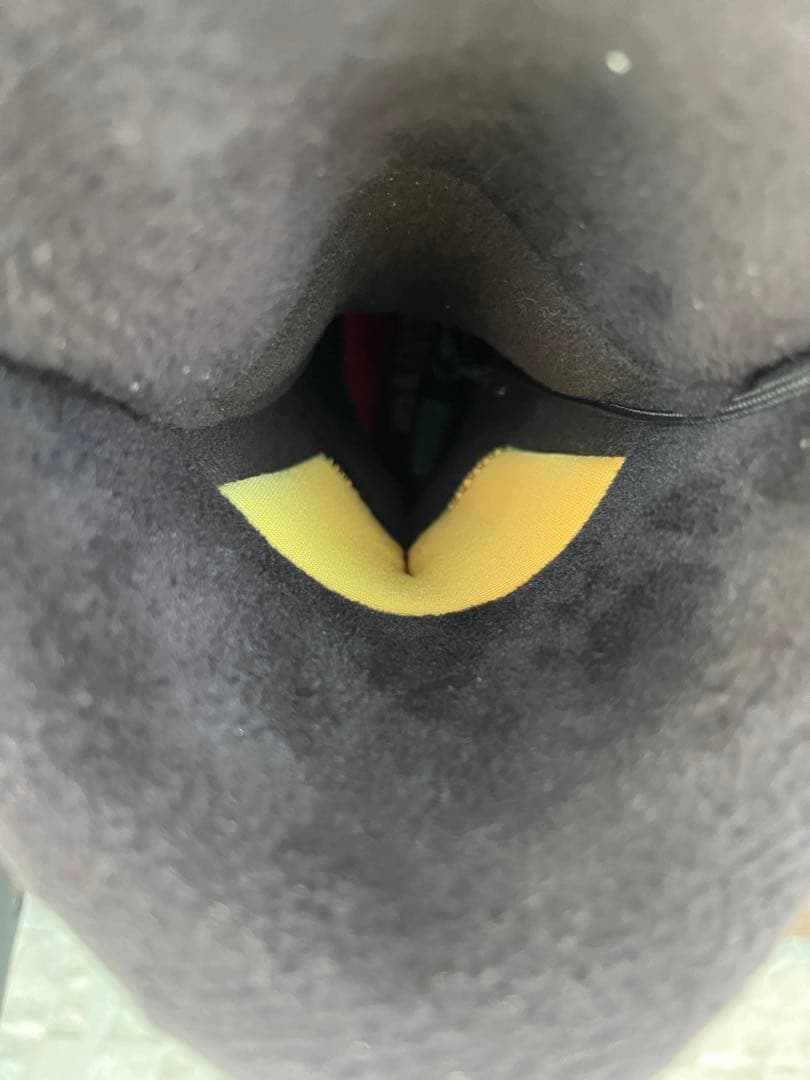 ほぼ未使用！サロモン　パークグラトリ最強ブーツ！ launch 25cm