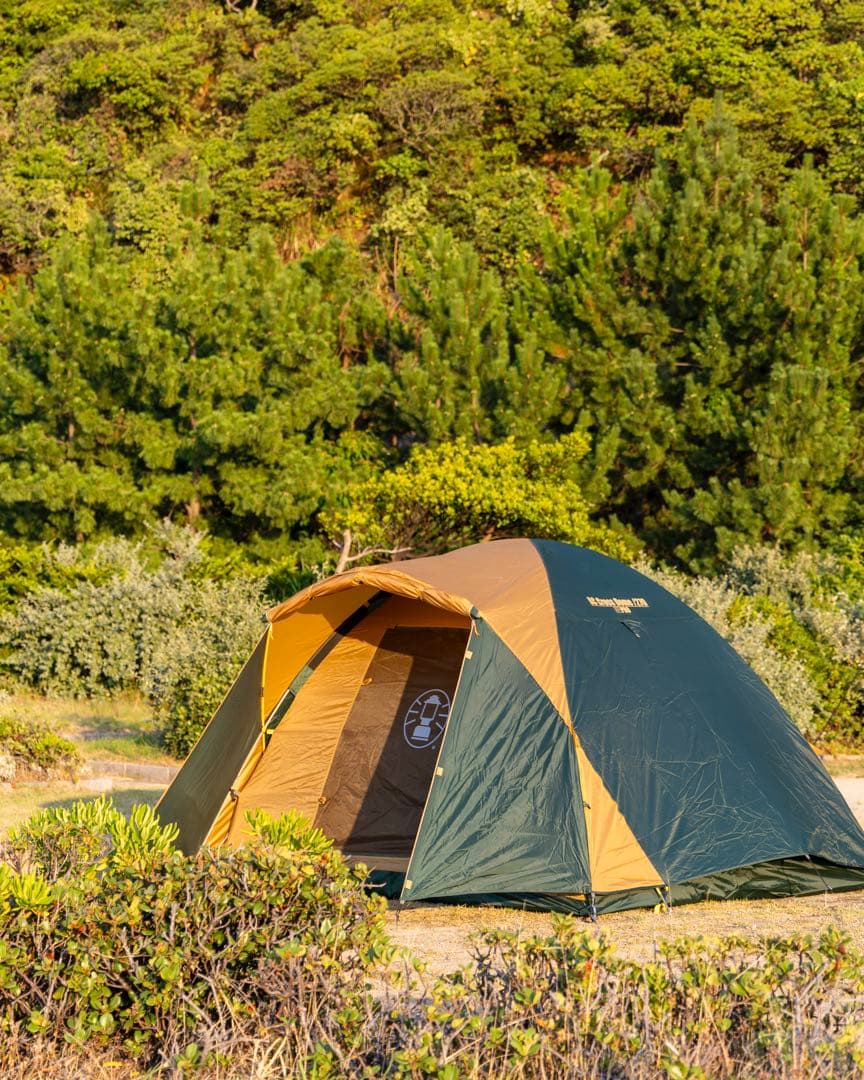 【状態良好】コールマン BCクロスドーム 270 テント (4〜5人用)