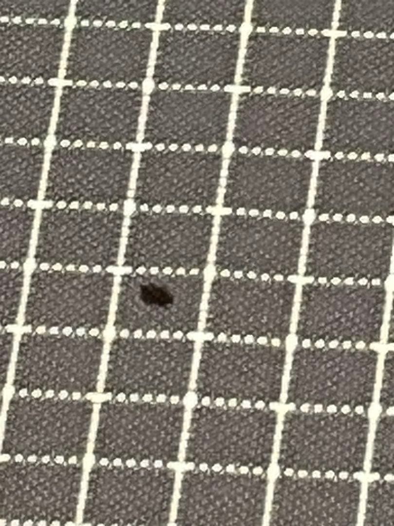 Helinox ヘリノックス　ライトコット