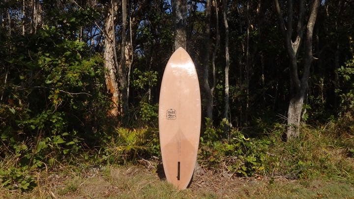 free pig シングルフィン　サーフボード