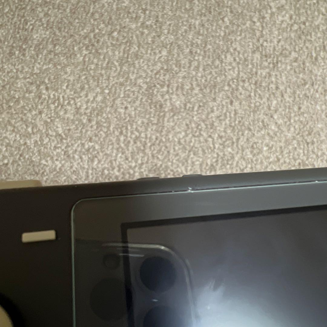 Nintendo Switch Lite 本体 充電器 ケース付き グレー