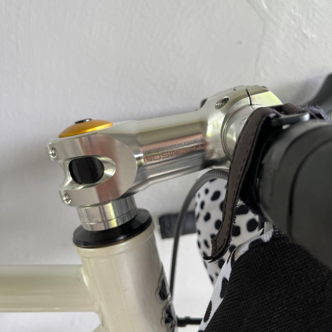 自転車本体 KetsugeShigeoSurly Midnight Special