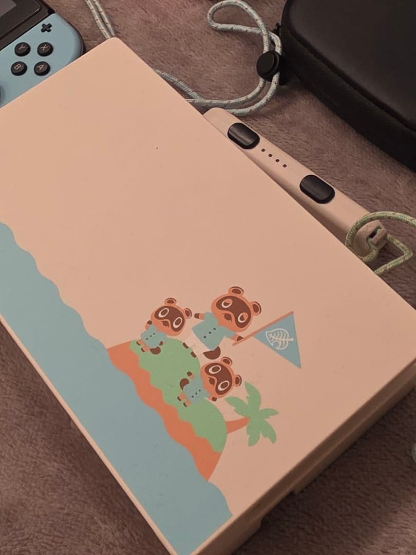 Nintendo Switch 本体 あつまれどうぶつの森セット 純正プロコン付