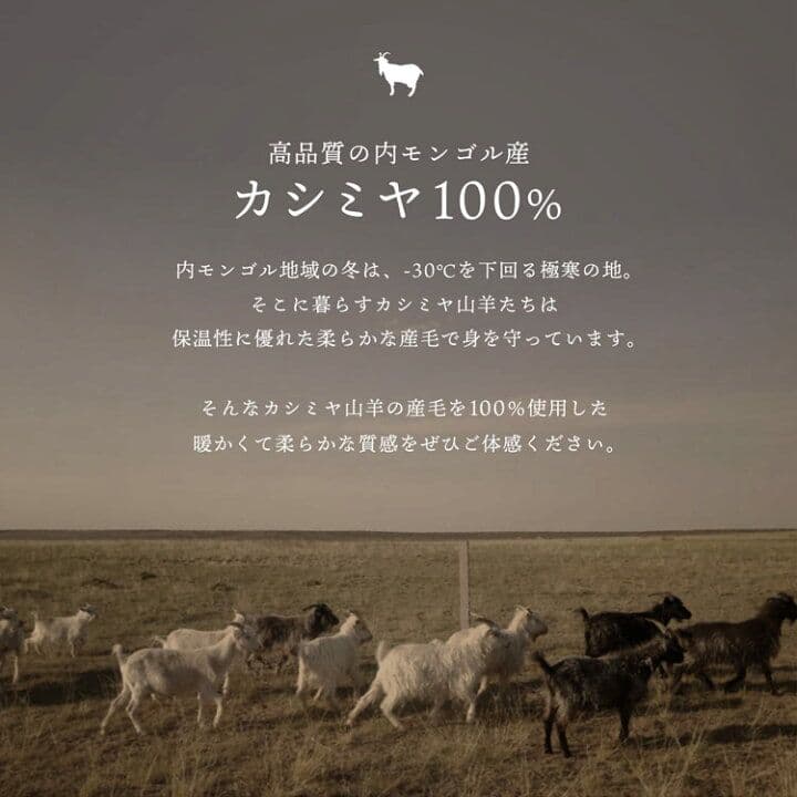 大判ストール ベージュ カシミヤ100％ 厚手 未使用 Filomo