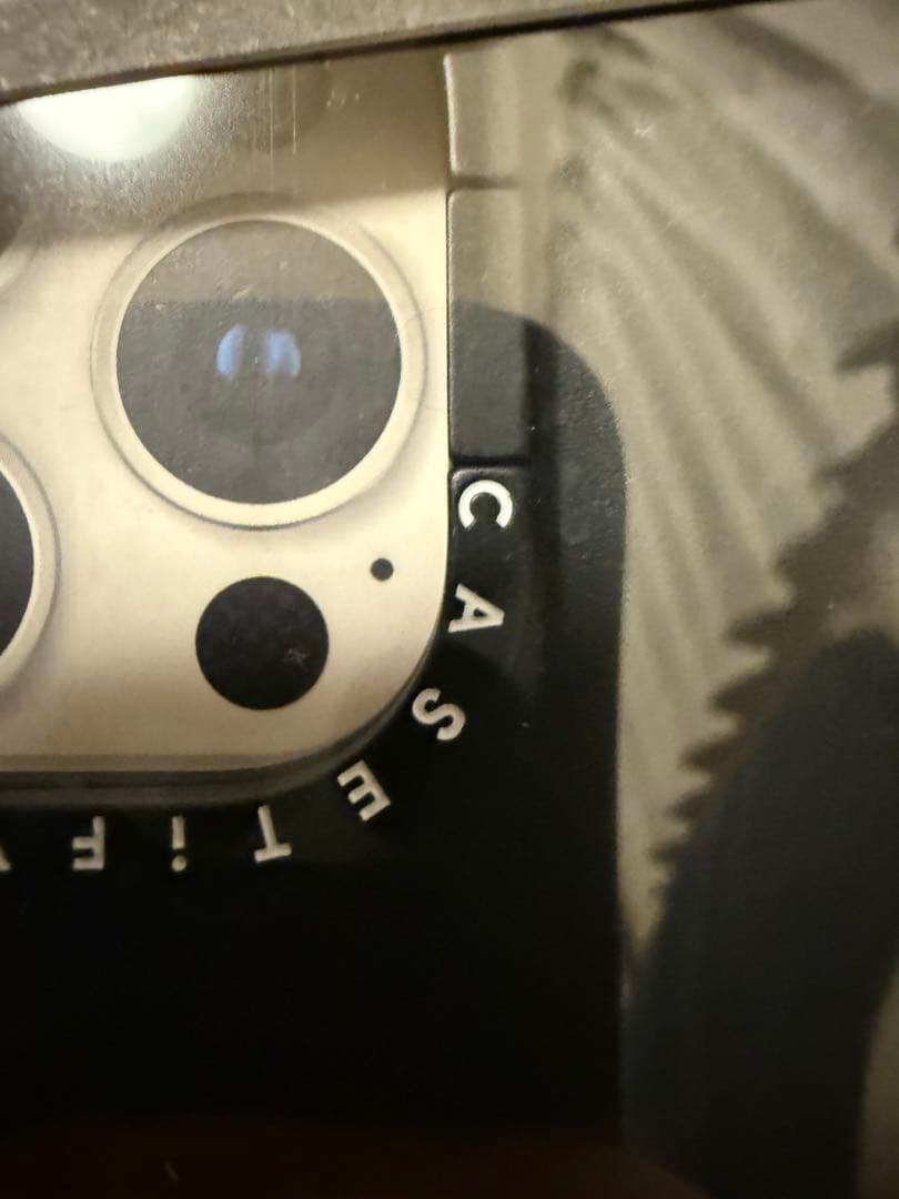 CASETiFY ブラック iPhone16promax fragment