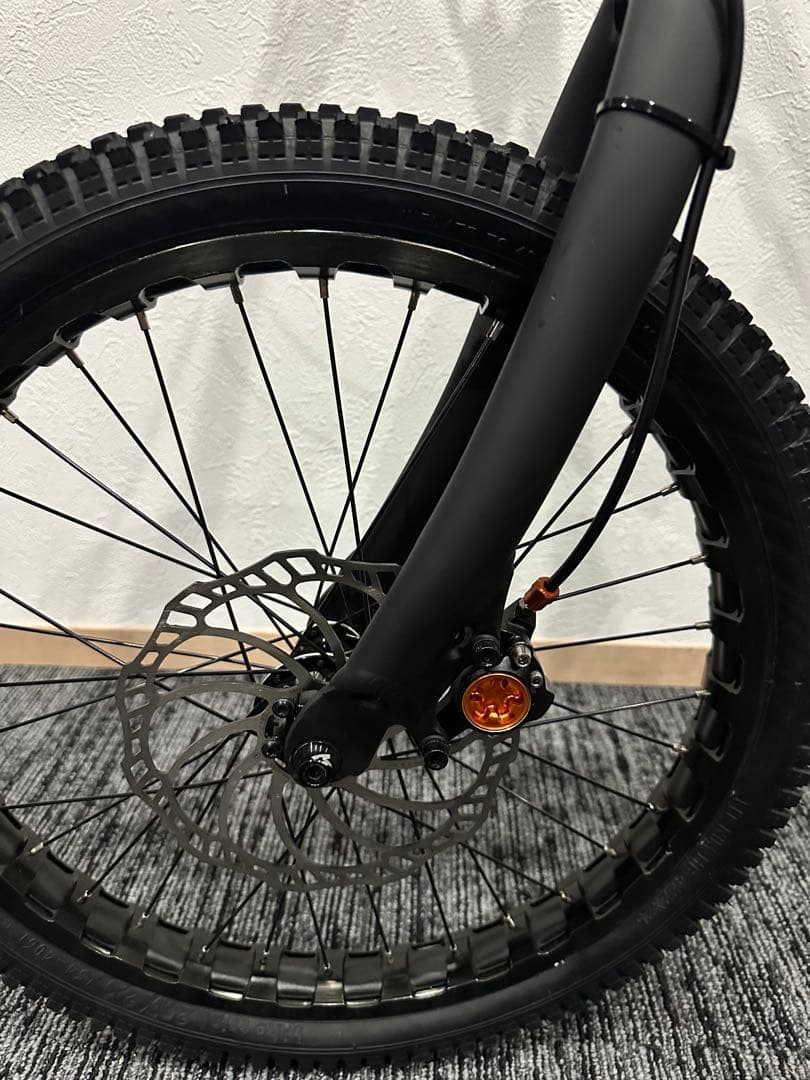 トライアルバイク　Echo Mark 20インチ