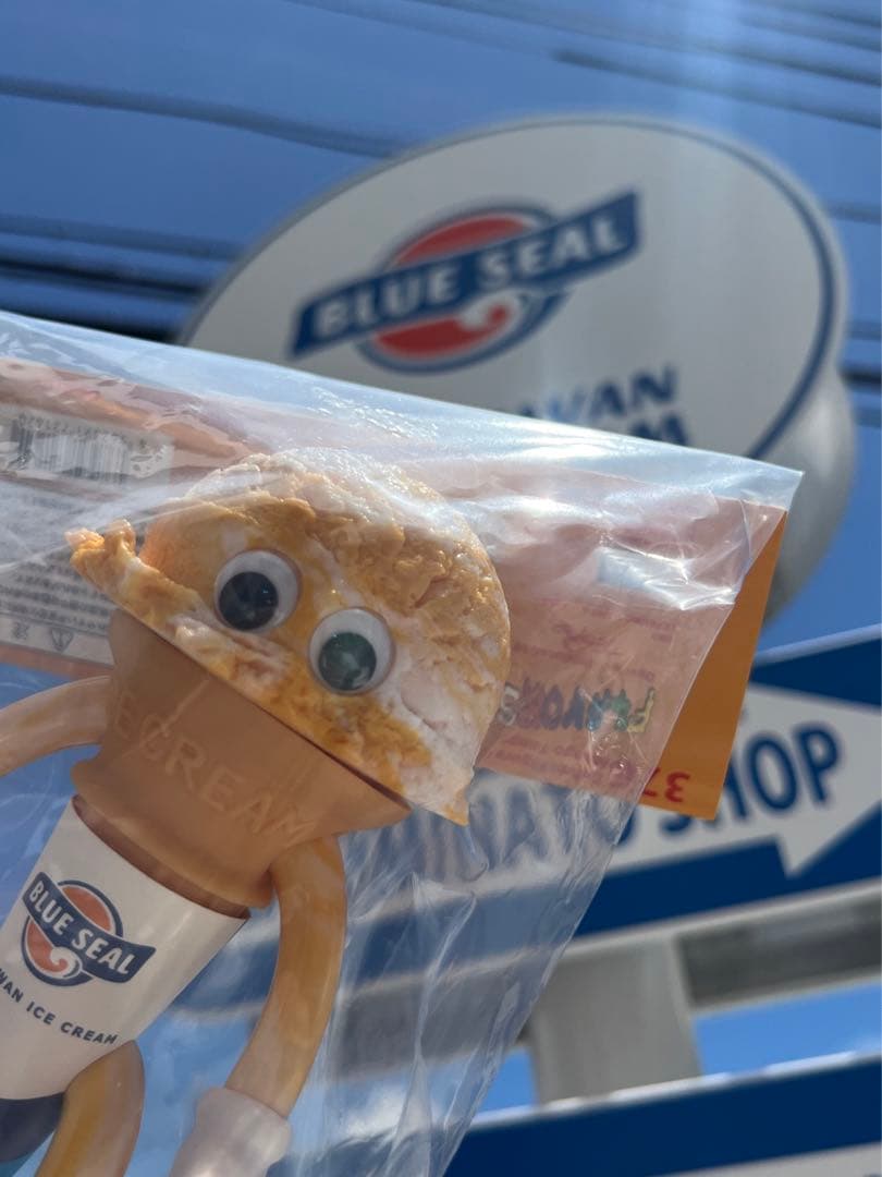 ‼️各20体、限定品‼️レア‼️ブルーシール北谷店購入