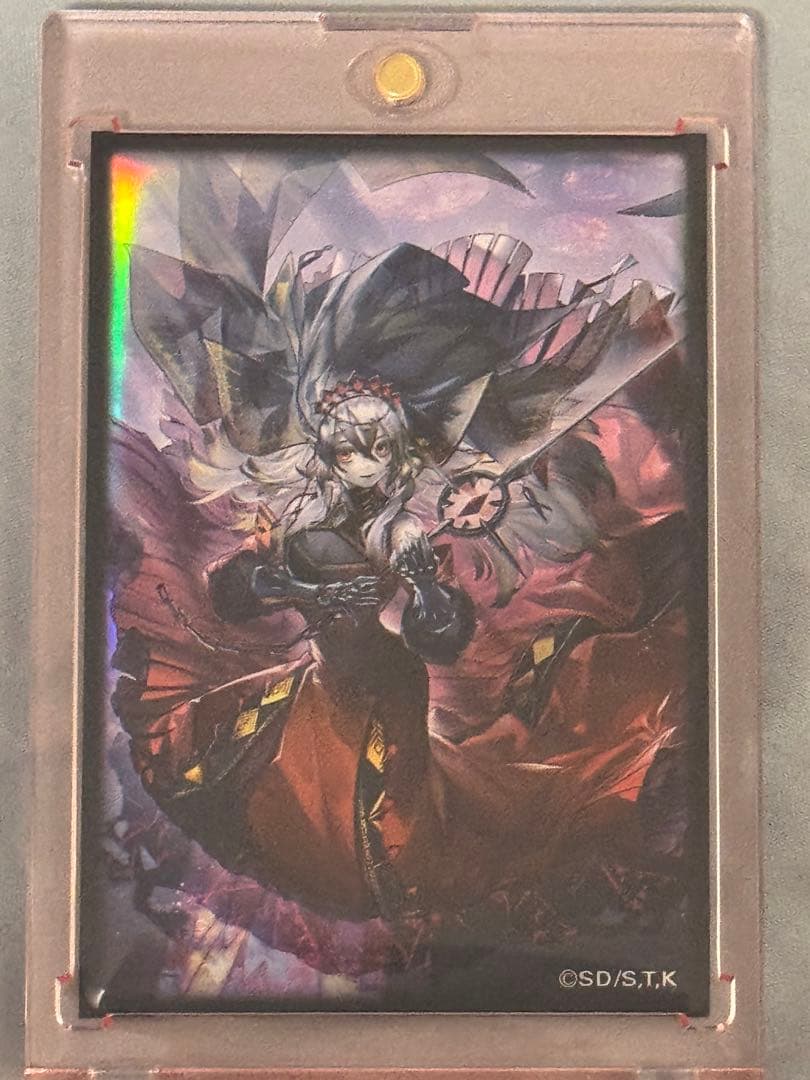 赫の聖女 カルテシア 25th