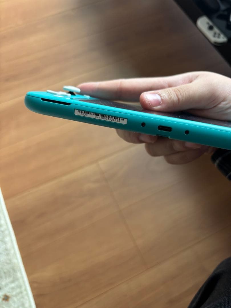 Nintendo Switch Lite どうぶつの森　ターコイズ 充電器付き