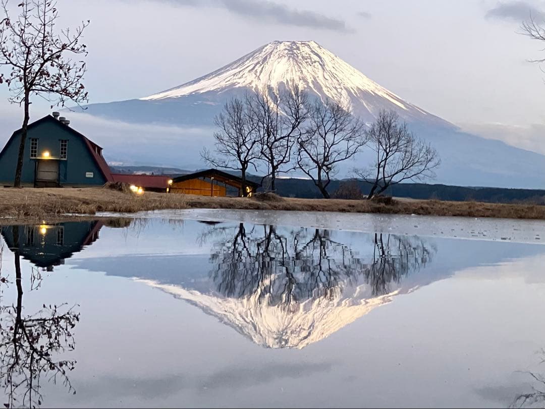 取説付《フォックスベースevo仕様》二股フレーム＋棟ポールキット　らくらく設営