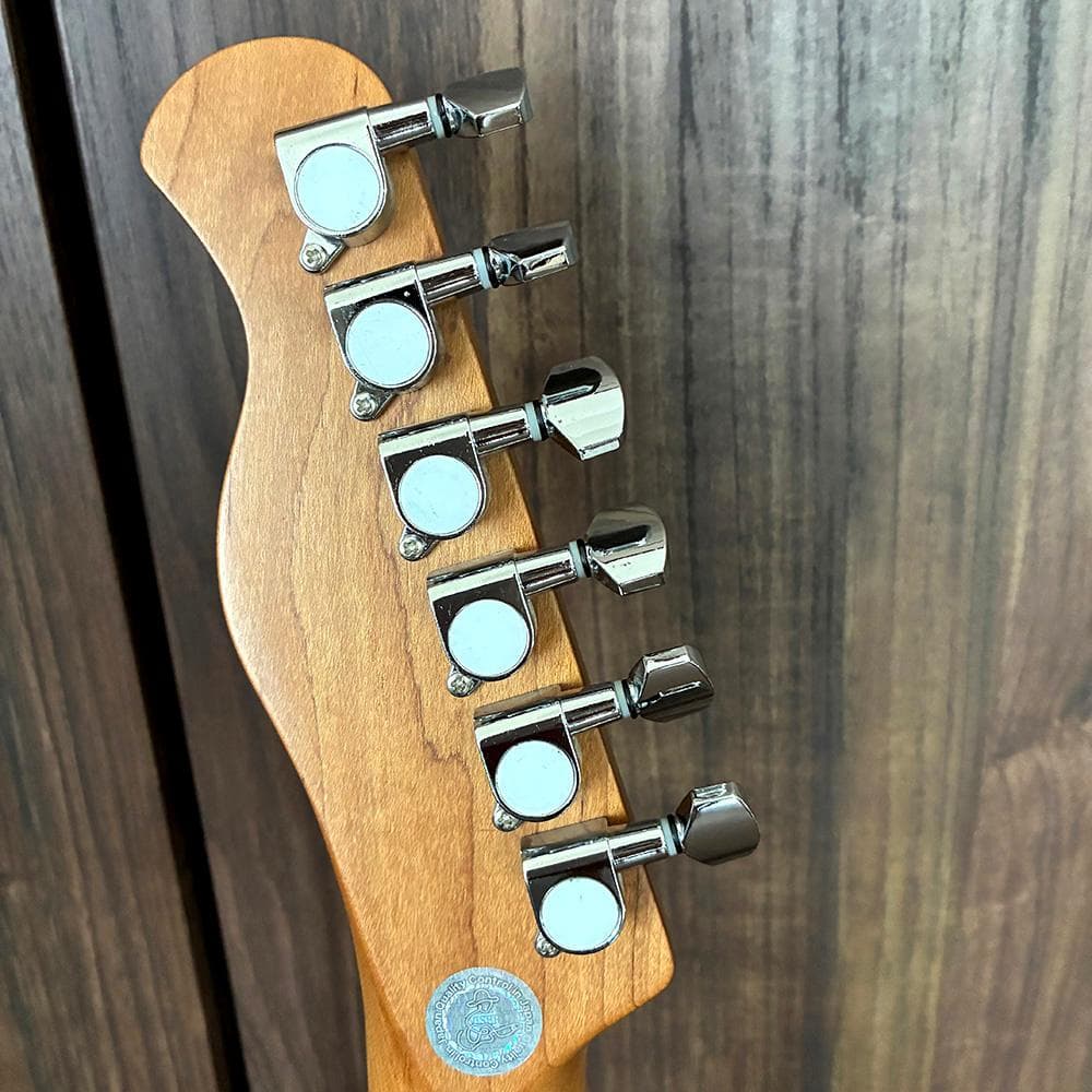 【極美品】Bacchus BTE-2-RSM/M BLK｜ローステッドメイプル