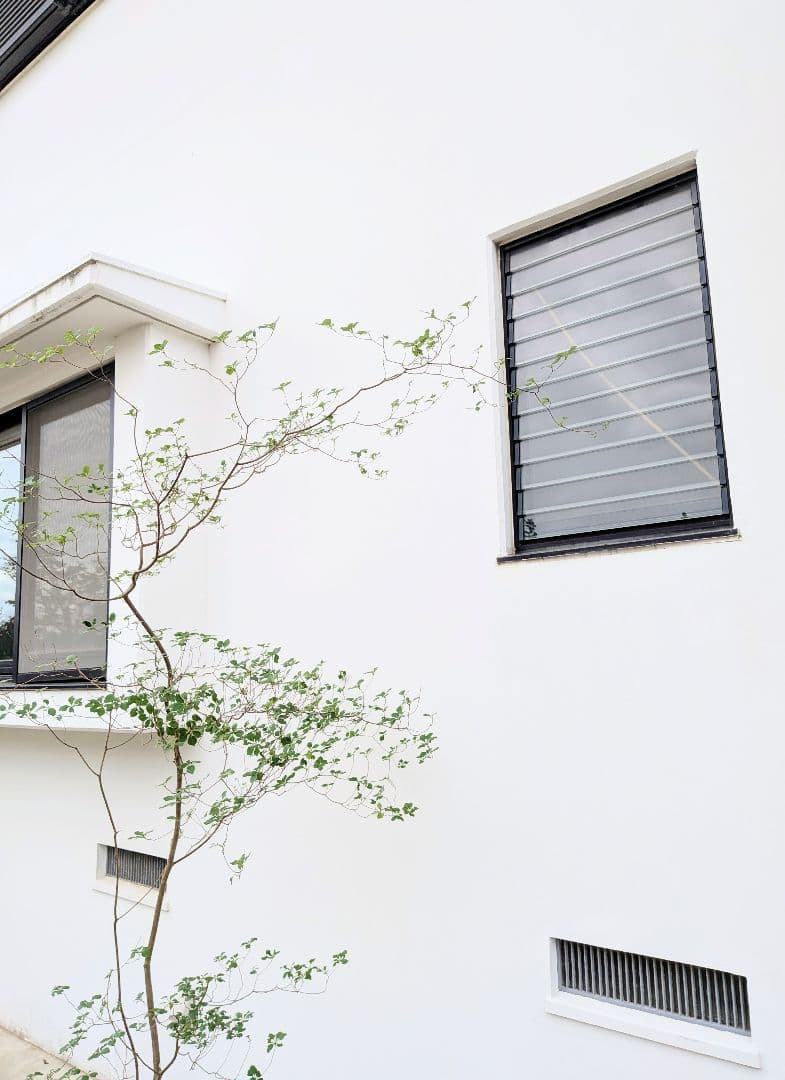 至極。山採りドウダンツツジ。