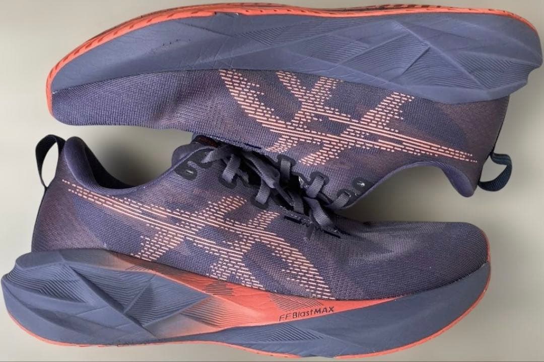 ASICS NOVABLAST 5 27.5cm グレイッシュパープル 美品