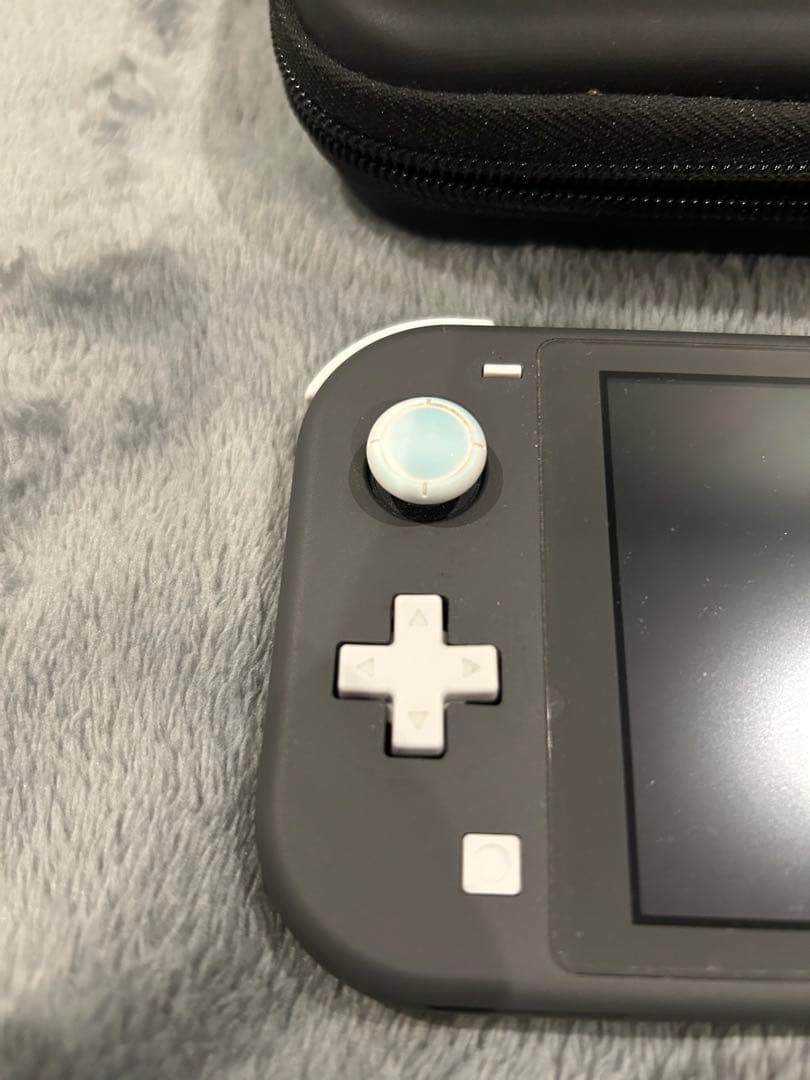 Nintendo Switch Lite グレー本体(ケース・プロテクター付き)