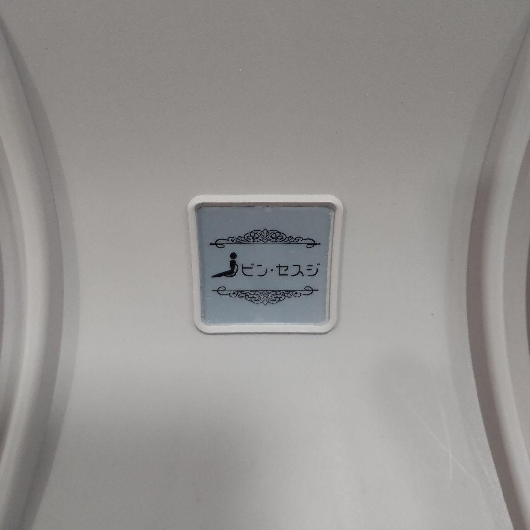 美姿勢サポート ピン・セスジ 2個セット 骨盤サポート 姿勢矯正