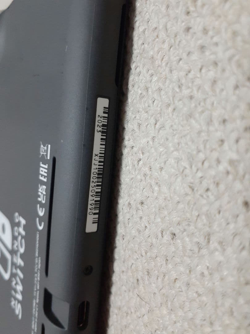 Nintendo Switch Lite グレー 2023年
