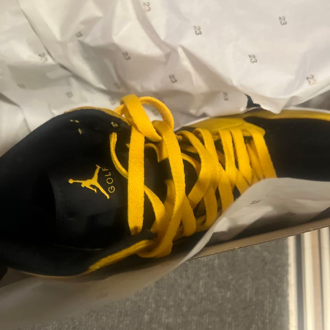 Air Jordan 1 High G ゴルフシューズ26.5cm pollen