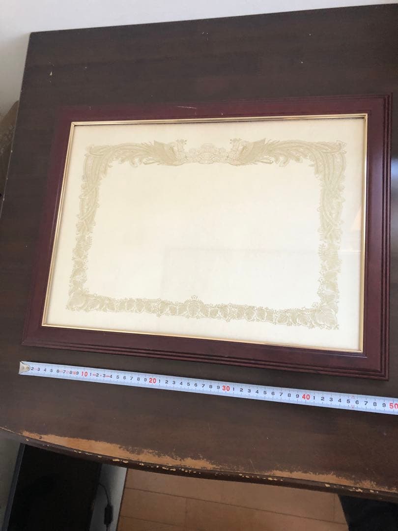 大型 額縁 6つ フレームデッサン ポスター ガラス 世界堂