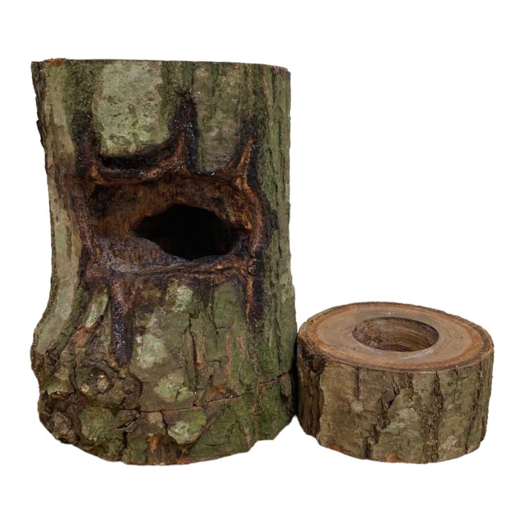 クワガタ隠れ家、樹洞、クワリウム、クワガタテラリウム、登り木、えさ