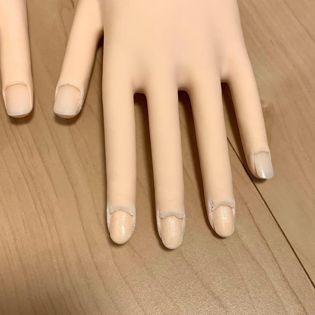 【骨折なし】JNEC 認定モデルハンド