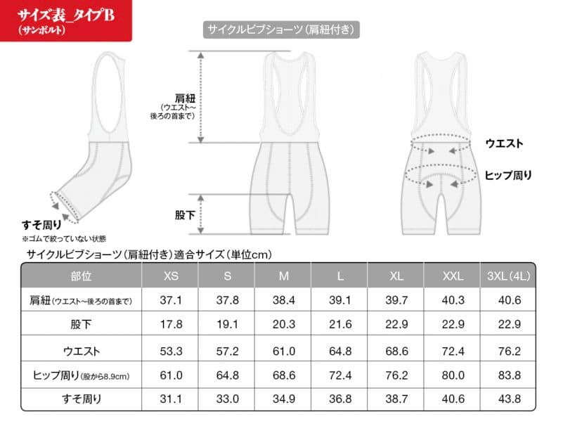 □レーシングミク 2015 初音ミクGTプロジェクト 10周年記念 Ver.