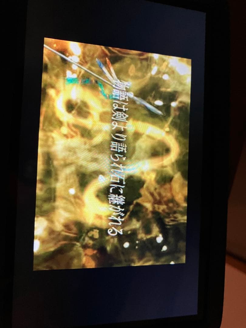 SONY PS Vita Wi-Fi ケース付き 動作確認済みpch-2000