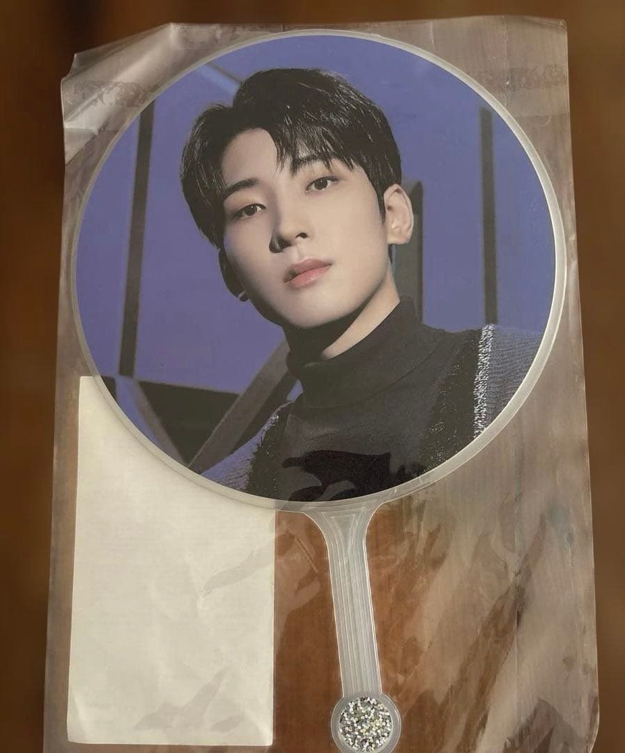 seventeen holiday collectionうちわ ウォヌ ミニ