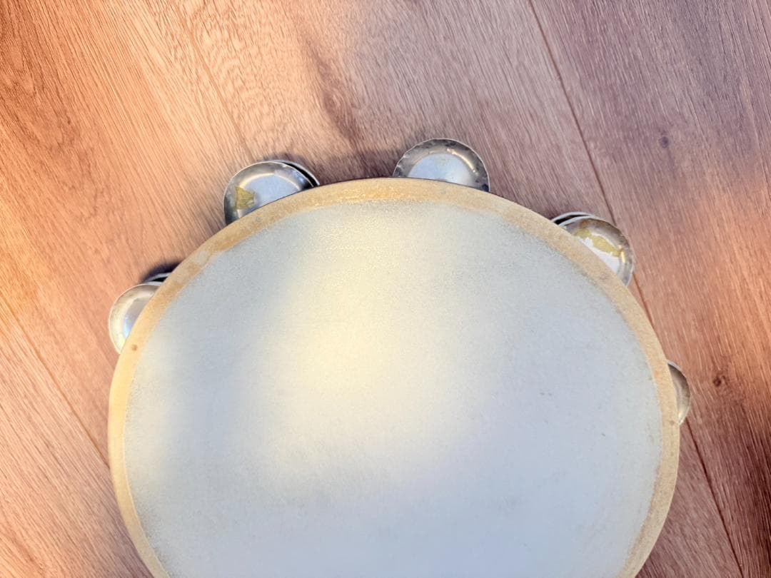 Black Swamp タンバリン 正規品 専用ケース付き