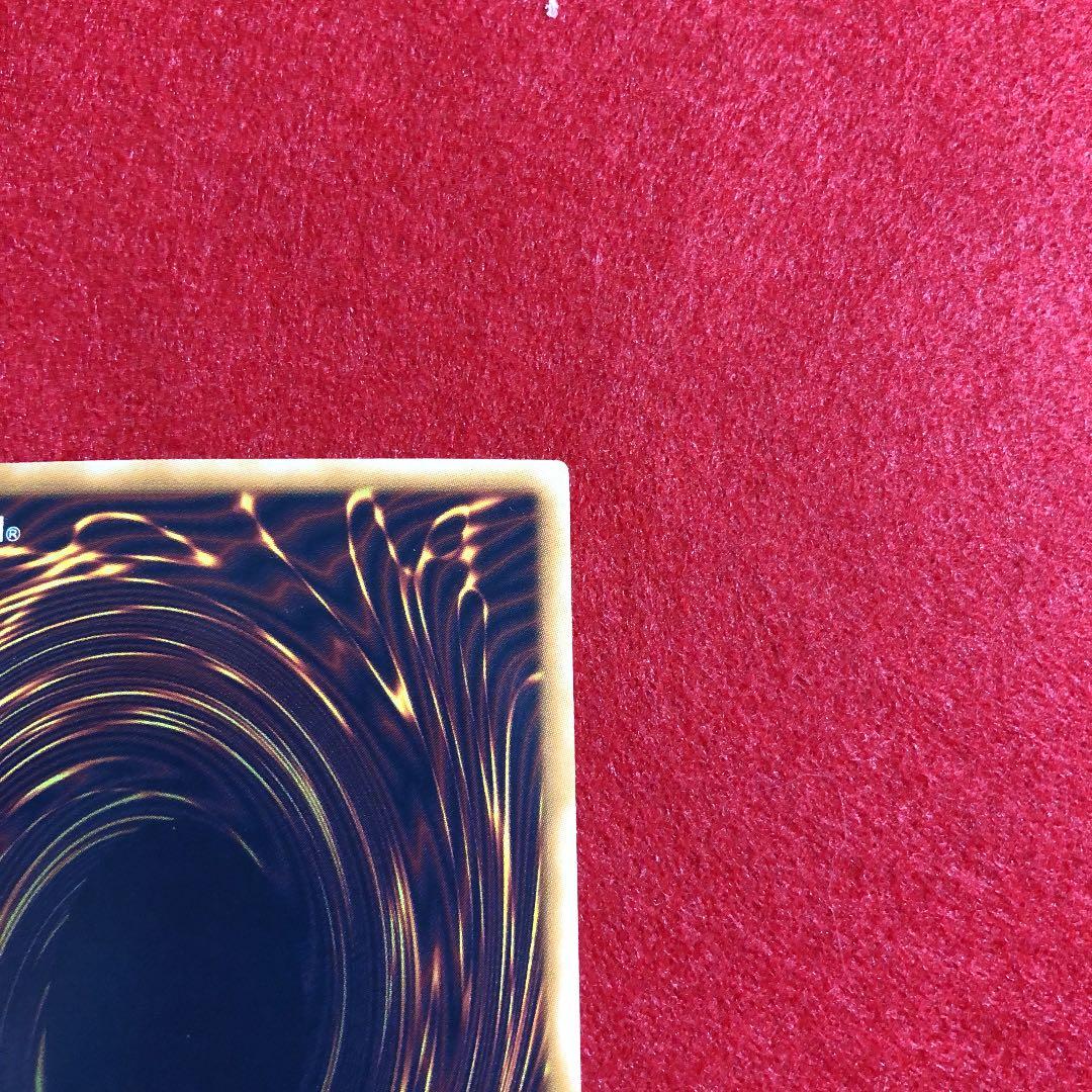 遊戯王 ブラック・ローズ・ドラゴン ホロ ホログラフィックレア