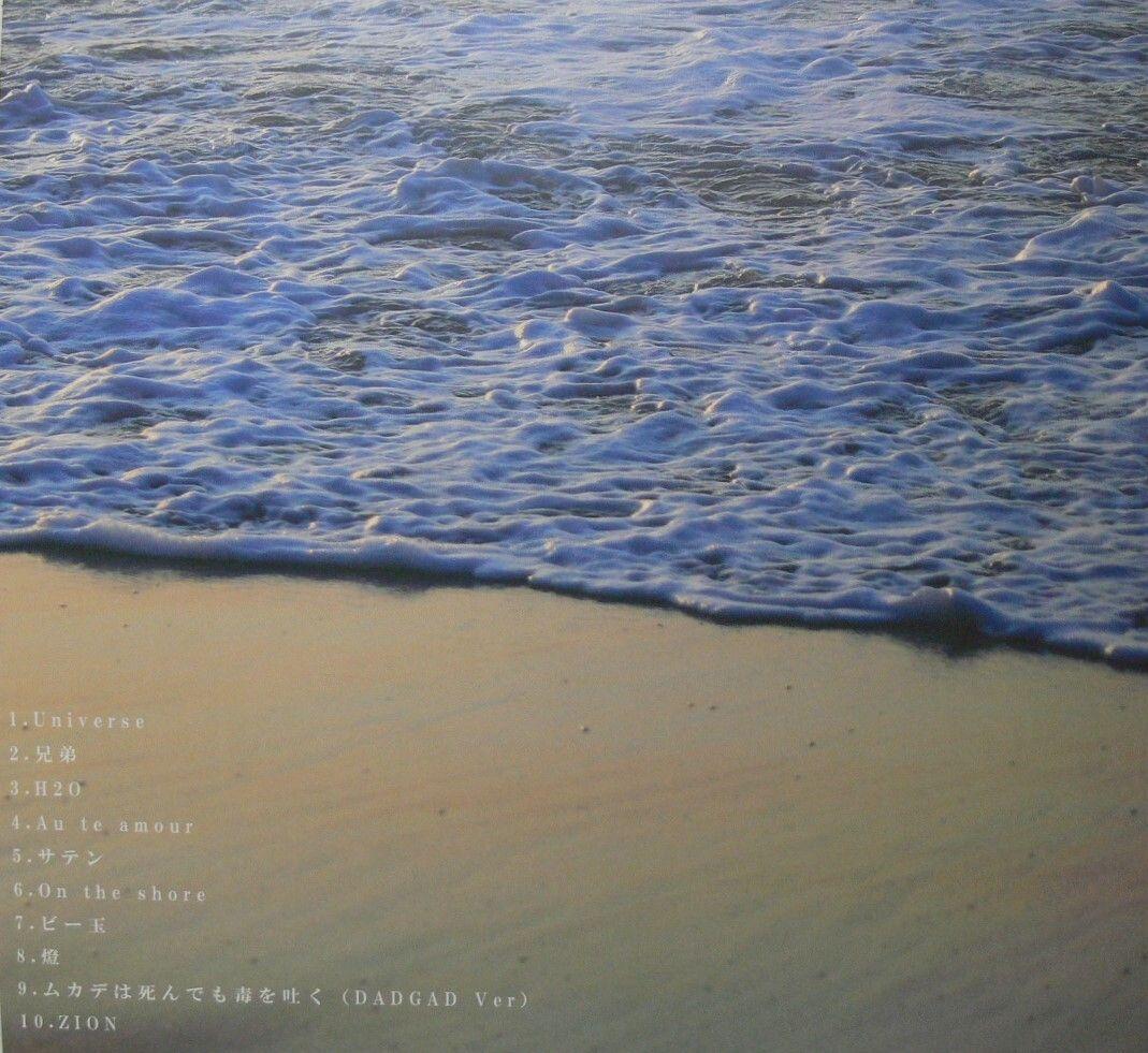 [未使用品 アナログレコード LP]　踊ってばかりの国　On the shore